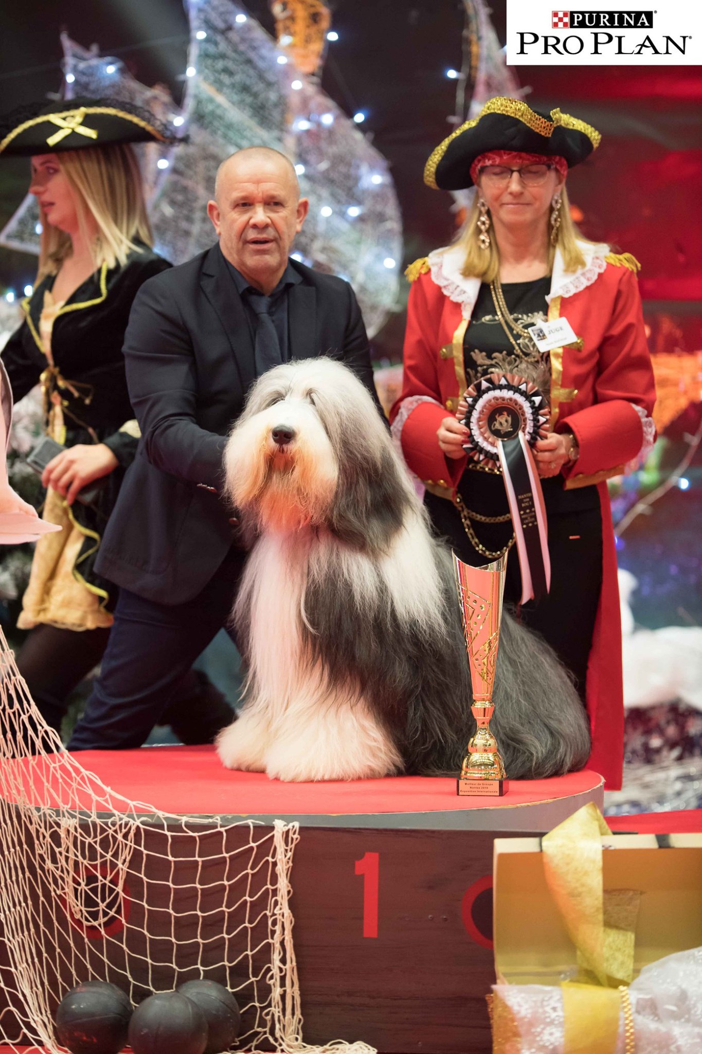 New Look - Best of Groupe Nantes 2019 New Look De Chester - Best of Groupe Nantes 2019