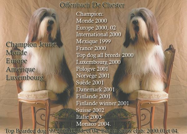 Offenbach Multi Ch Offenbach De Chester